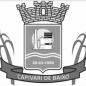 municipio-capivari-de-baixo-brasao-simb-brsssc0601803956